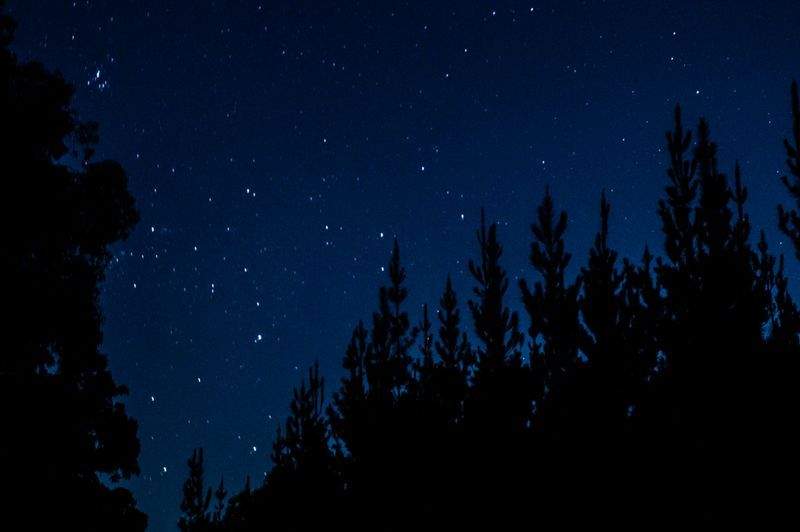 星見ラボ株式会社